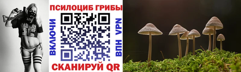 где купить наркотик  OMG ССЫЛКА  Псилоцибиновые грибы мицелий  Слободской 